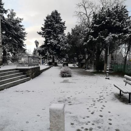 Λιβαδι Ελλασόνας