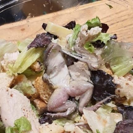 Η σαλάτα με το βατράχι.jpg