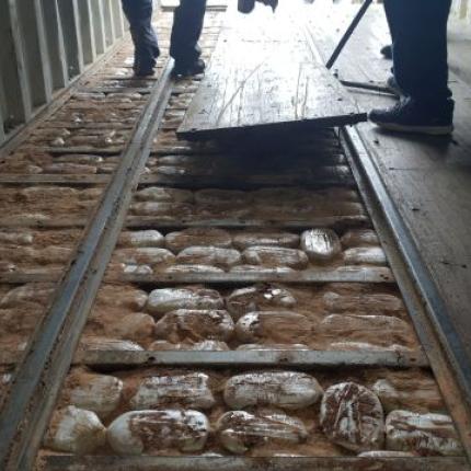 κανναβη πλοιο