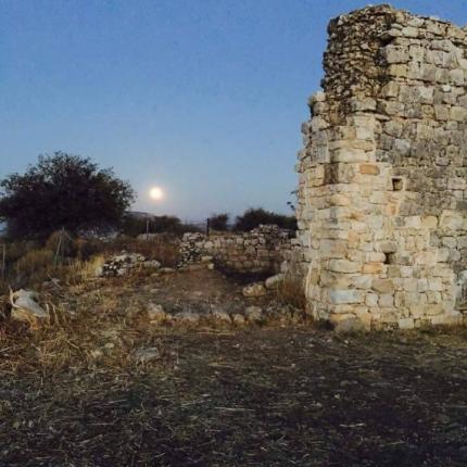 αυγουστιατικη πανσεληνος απτερα