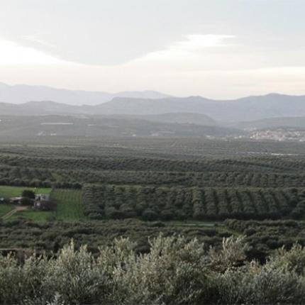 καστέλι πεδιάδας