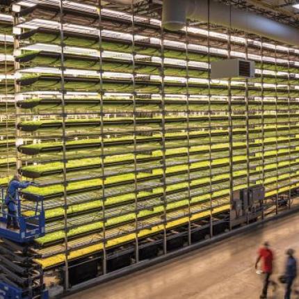 aerofarms-indoor-vertical-farming-wide-shot.jpg