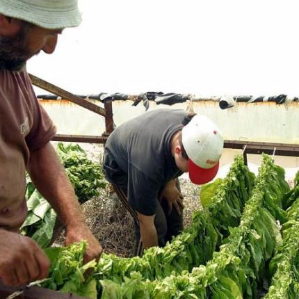 Ενισχύσεις για αγρότες ενόψει της νέας ΚΑΠ