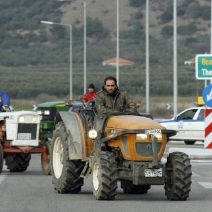 agrotes-voulgaria.jpg