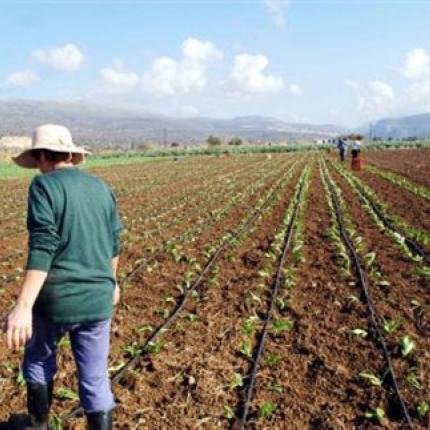 Την Πέμπτη οι αποζημιώσεις στους αγρότες από τον ΕΛΓΑ