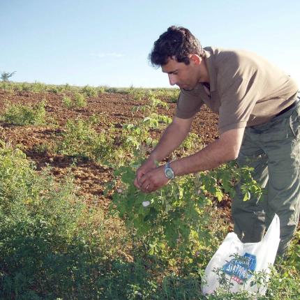 Ενημέρωση στο Δ. Φαιστού για την ενίσχυση των νέων αγροτών