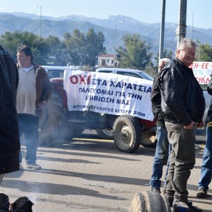 agrotes_asteroysia_2.jpg