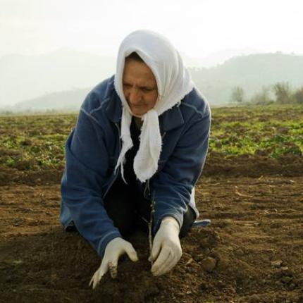 agrotissa.jpg