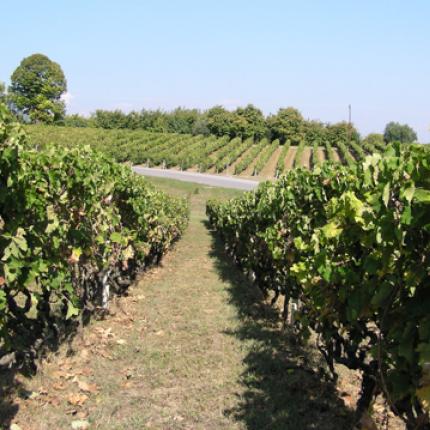 αγροτουρισμος