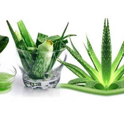 Φτιάξε μόνη σου gel από aloe vera