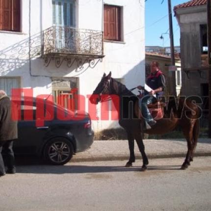 Απρόσμενος &quot;σύμμαχος&quot; στο λιομάζωμα: Ένα  άλογο κοσκινιζει τις ελιές (βίντεο)