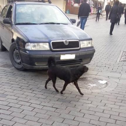 παράνομο παρκάρισμα