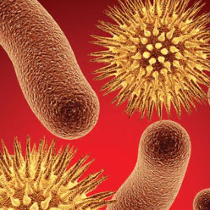 Ανακαλύφθηκε η «αχίλλειος πτέρνα» των σούπερ-ανθεκτικών μικροβίων