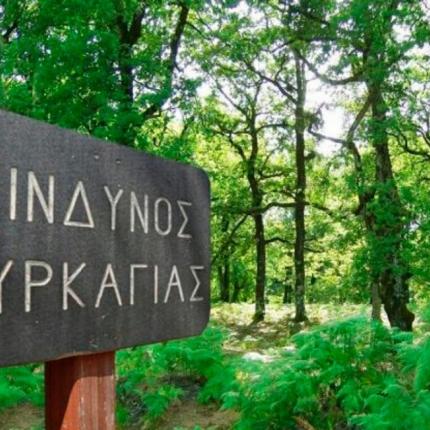 αντιπυρική περίοδος