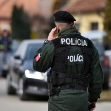 τσεχία αστυνομία