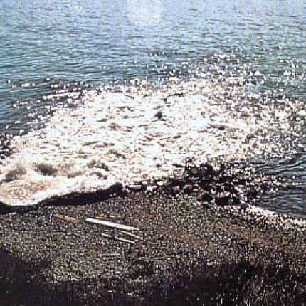 Ημερίδα για τη διαχείριση των πετρελαϊκών αποβλήτων στα Χανιά