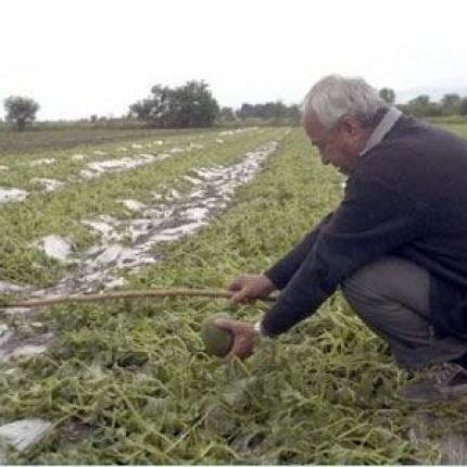 Αποζημιώσεις 71.111 ευρώ από τον ΕΛΓΑ αύριο στην Κρήτη