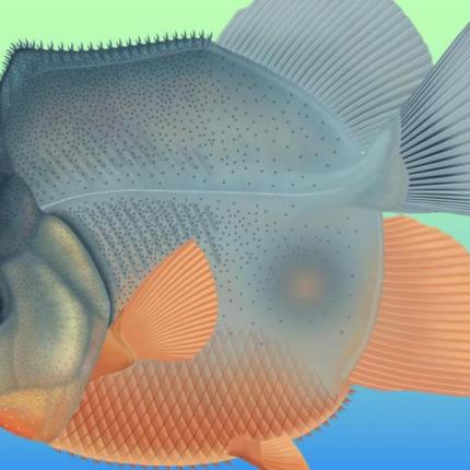 αρχαίο πιράνχα