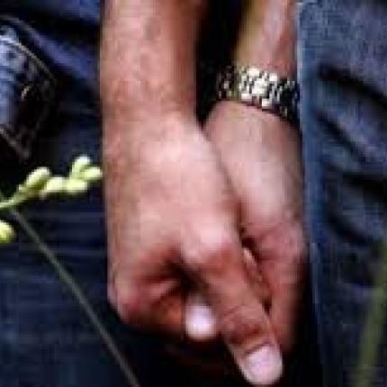 ομοφυλοφιλία