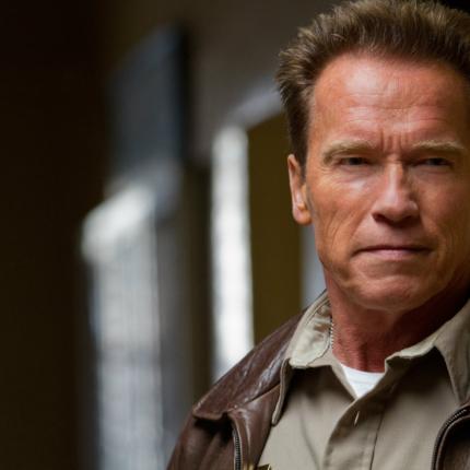 arnold-schwarzenegger-last-stand.jpg