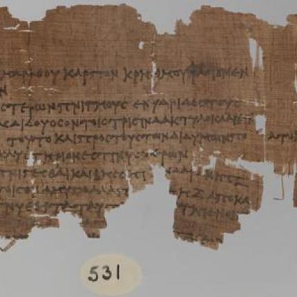 &quot;Μίλησαν&quot; πάπυροι από την εποχή του Βεζούβιου
