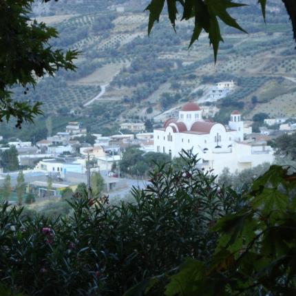 ασσιτες