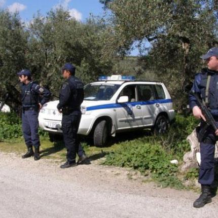 Αστυνομικη επιχειρηση