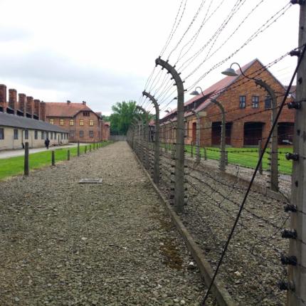 auschwitz-.jpg