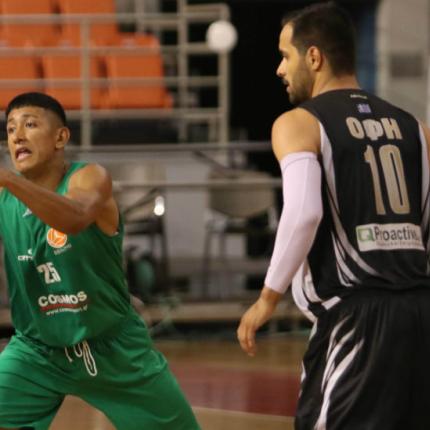 basket_ofi.jpg