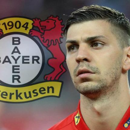 bayer.jpg