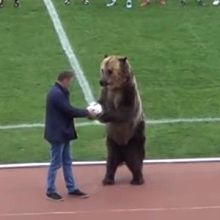 bear-russia.jpg