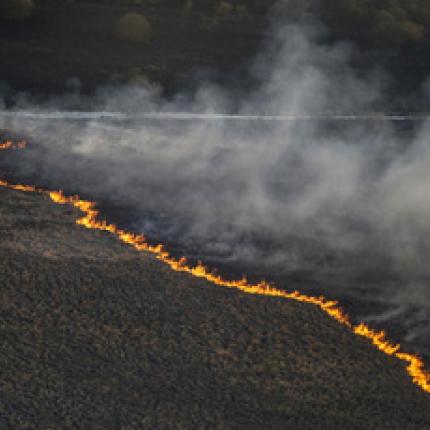 chernobyl-fires.jpg