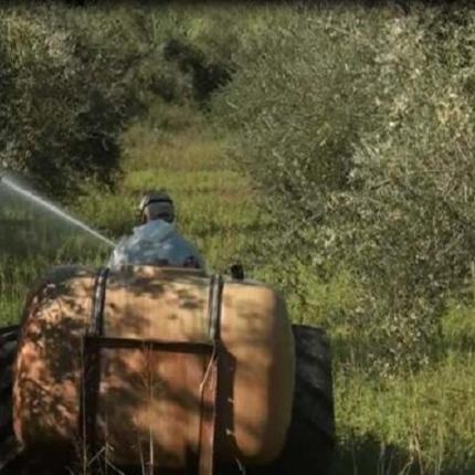 δακοκτονία