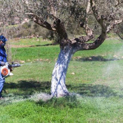 δακοκτονια