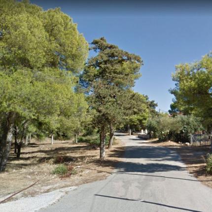 δάσος αγίου ματθαίου