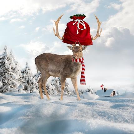 δώρα Πρωτοχρονιά Χριστούγεννα ζώδια