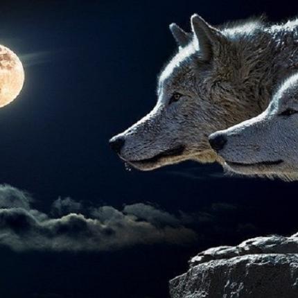 πανσέληνος των Λύκων