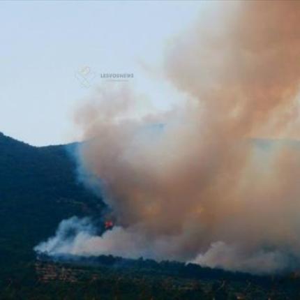 Διαστάσεις παίρνει η φωτιά στη Μυτιλήνη