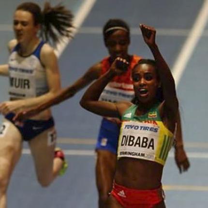 dibaba.jpg