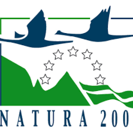 diktio_natoyra.png