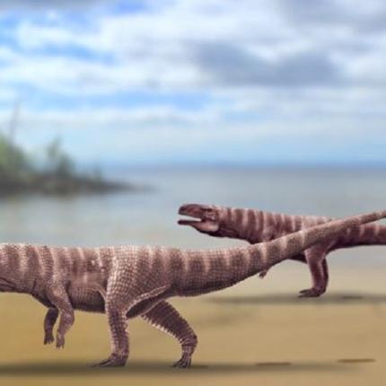 δίποδοι κροκόδειλοι