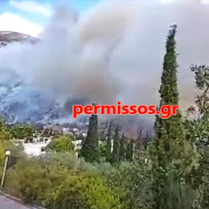 Δίστομο φωτιά