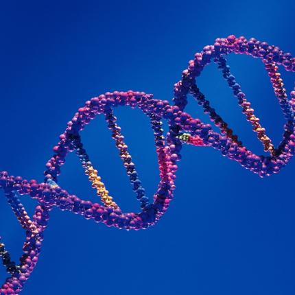 Ανακαλύφθηκε το «ελαττωματικό» γονίδιο που καθυστερεί την εφηβεία