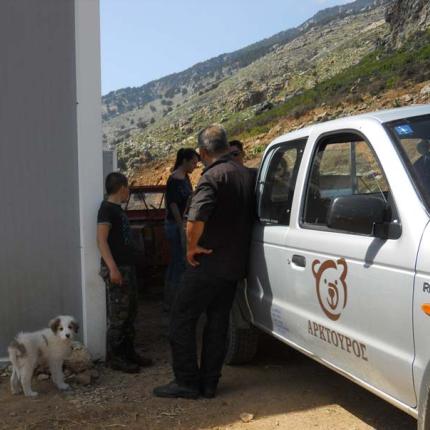 Επιστρατεύονται ελληνικοί ποιμενικοί στη μάχη ενάντια στα δηλητηριασμένα δολώματα στην Κρήτη