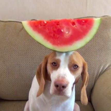 Ισορροπώντας 100 φρούτα σε 100 δευτερόλεπτα! (βίντεο)