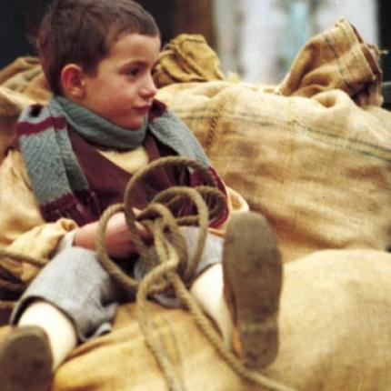 το δέντρο με τα τσόκαρα