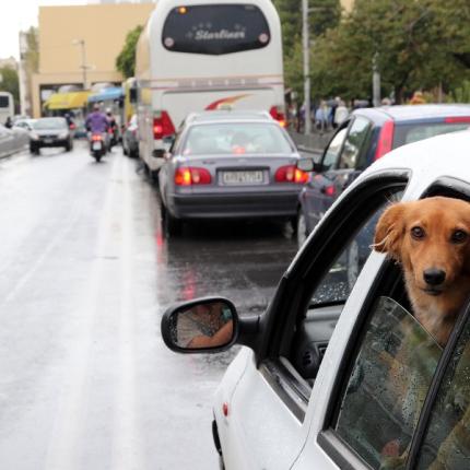 κίνηση ηράκλειο