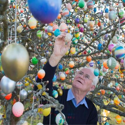eggtree2-thumb-large.jpg