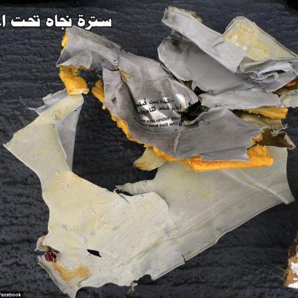 egyptair3.jpg