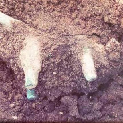 Αρχαία Ολυμπία: Στο φως χάλκινο ειδώλιο ταύρου